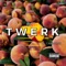 Twerk (feat. D. Cannons) - Joey Shellz lyrics