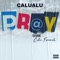 Pray (feat. Collin Foxworth) - Calualu lyrics