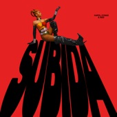 Subida artwork