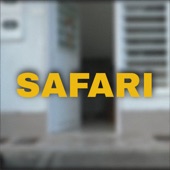 Safari (feat. Seventeen) artwork