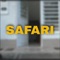 Safari (feat. Seventeen) artwork