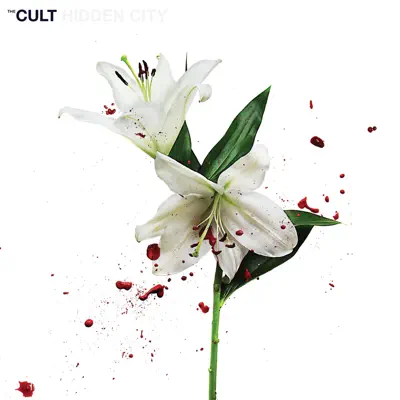 Hinterland - Single - The Cult
