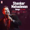Shankar Mahadevan Telugu Hit Songs - Birthday Special album lyrics, reviews, download