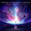 Tranquility - Single