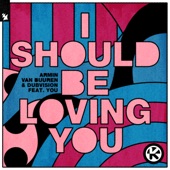 I Should Be Loving You (feat. YOU) artwork