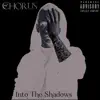 Into the Shadows - EP album lyrics, reviews, download