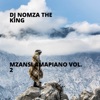 Mzansi Amapiano Vol. 2