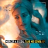 Take Me Down - Single