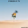 Firegun - Single album lyrics, reviews, download