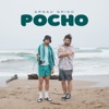 Pocho - Single