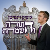 התורה והשמחה artwork