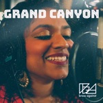 Brass Against - Grand Canyon