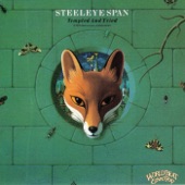 Steeleye Span - Jack Hall
