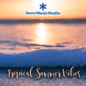 Tropical Summer Vibes artwork