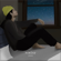 Himlay - Josue