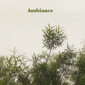 Ambiance (feat. Lakeside Collective) artwork
