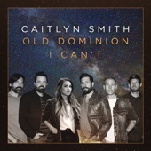 I Can't (feat. Old Dominion) (Acoustic) artwork