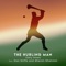 The Hurling Man (feat. Don Stiffe & Sharon Shannon) artwork