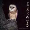 Owl Nocturne - Single album lyrics, reviews, download