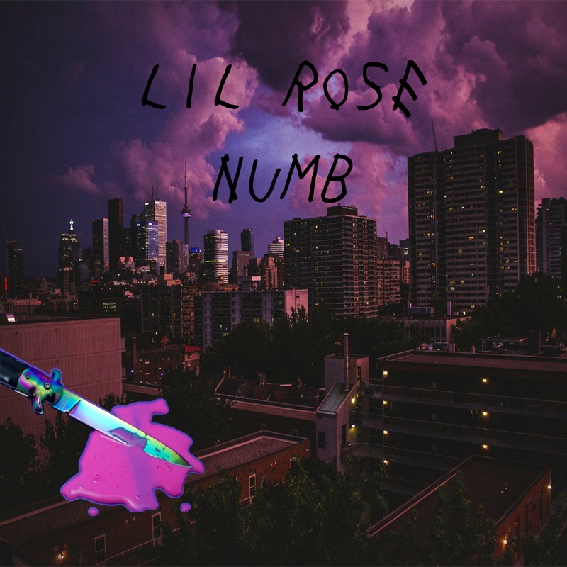 Lil rose. Lil Numb. Little Rising. Lil_Rise_33.