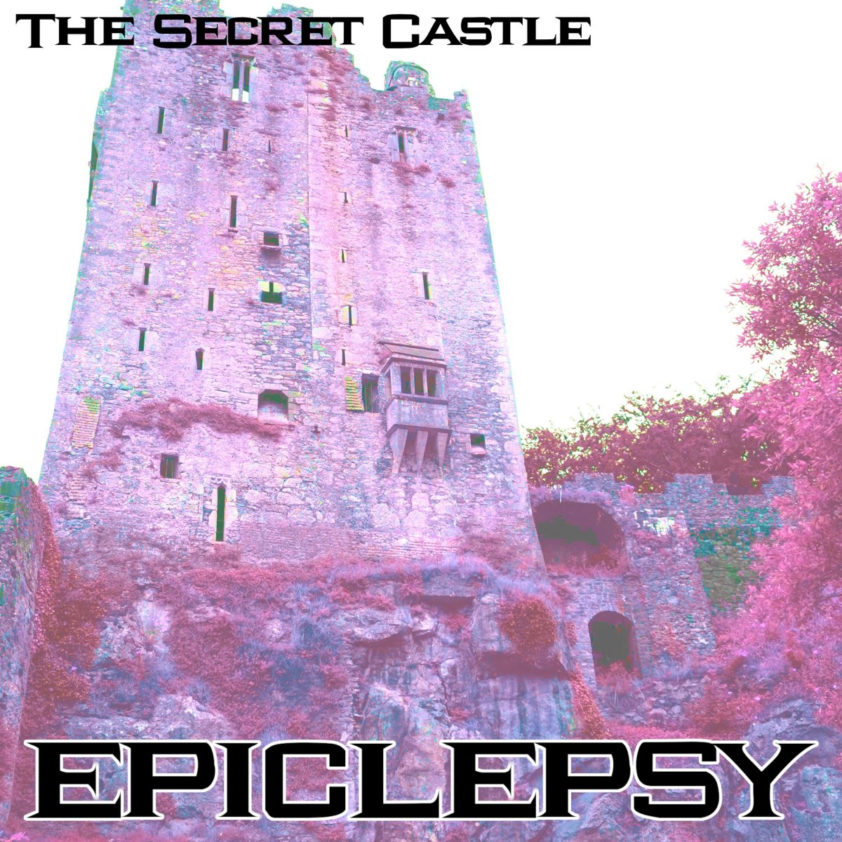 Secret castle. Castle of Secrets. Castle слово. Milon's Secret Castle.