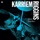 Karriem Riggins-Summer Maddness S.A.