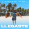 Llegaste - Gustavo Elis lyrics