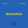 DistroKid - Single album lyrics, reviews, download
