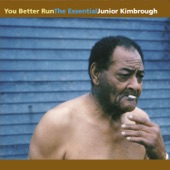 Junior Kimbrough - Nobody but You (Live)