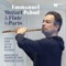 Concerto for Flute and Harp, K. 299: I. Allegro artwork