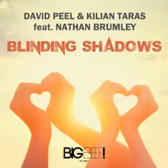 Blinding Shadows (feat. Nathan Brumley) [Remixes] by David Peel & Kilian Taras album reviews, ratings, credits