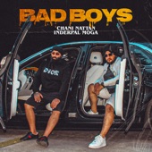 Bad boys (feat. Inderpal Moga) artwork