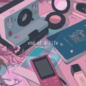 End of a Life artwork