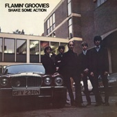 Flamin' Groovies - Shake Some Action