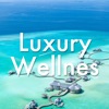 Luxury Wellness 1 Hour - Relaxing 5 Star Hotel Music Prime Stress Relief/Best Relaxing SPA Music
