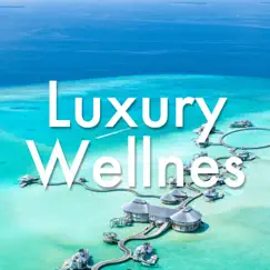 Luxury Wellness 1 Hour - Relaxing 5 Star Hotel Music Prime Stress Relief/Best Relaxing SPA Music by Prime Stress Relief & Best Relaxing SPA Music album reviews, ratings, credits