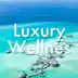 Luxury Wellness 1 Hour - Relaxing 5 Star Hotel Music Prime Stress Relief/Best Relaxing SPA Music album cover