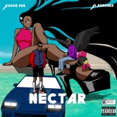 Nectar (feat. Blaqbonez) artwork