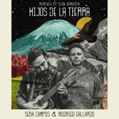 Hijos De La Tierra (Slow Nomaden Remix) artwork