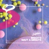 Wait A Minute (Extended Mix) - Single