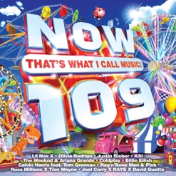 NOW THAT'S WHAT I CALL MUSIC 109 cover art