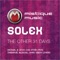 The Other 31 Days (feat. Nadin) - Solex lyrics