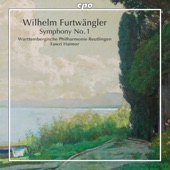 Furtwängler: Symphony No. 1 in B Minor artwork