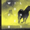 BT - Wildfire (Sean Tyas Remix)