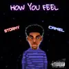 How You Feel (Re - Released) [feat. Camel] - Single album lyrics, reviews, download