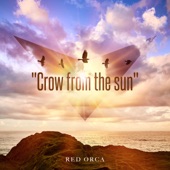 Crow from the sun artwork