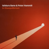 In Disequilibrium artwork