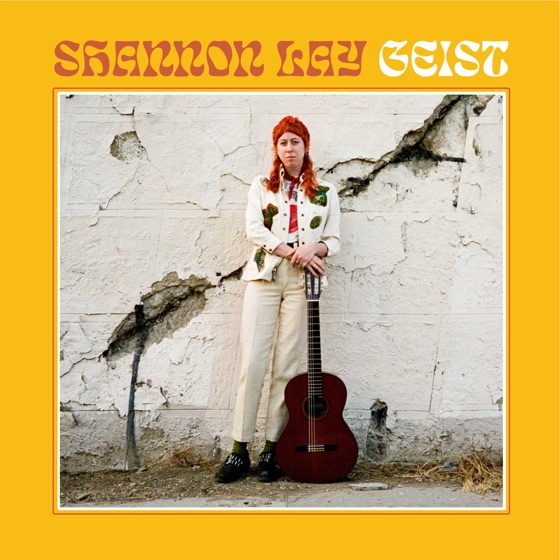 Cover artwork for Geist