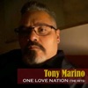 One Love Nation (The Hits)