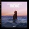 Friends (feat. Alonestar) - David Shane & Wanden lyrics
